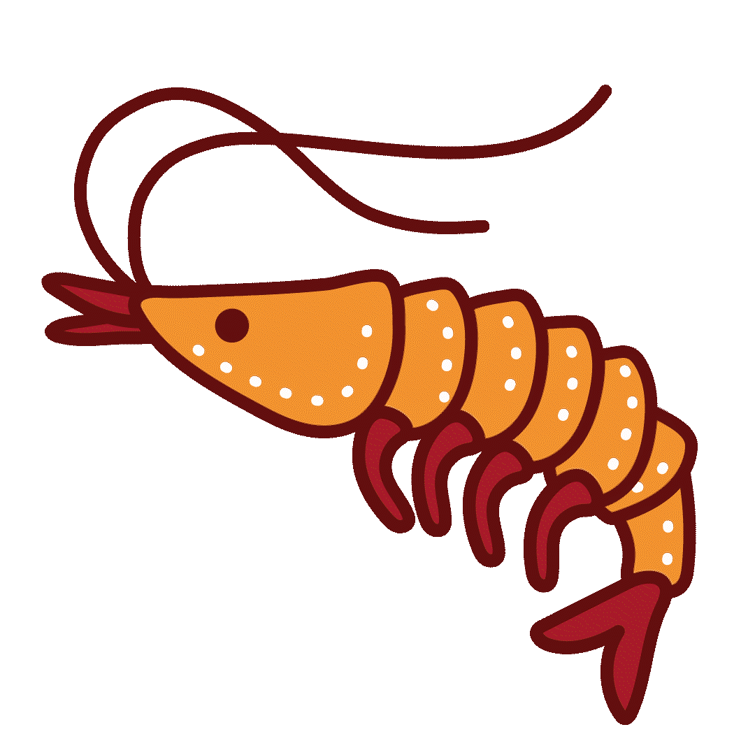 shrimp .gif
