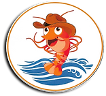 compitas logo_edited.png