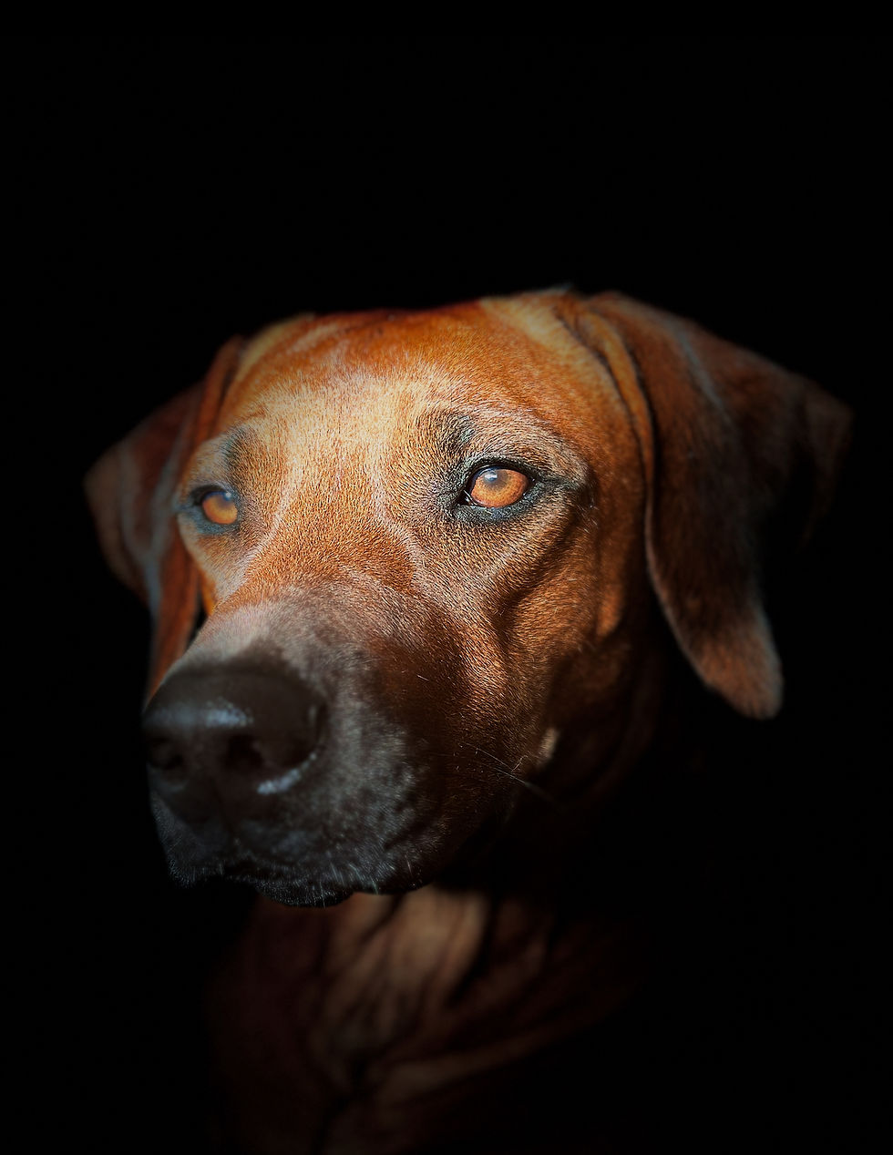 Unsere Ayuma