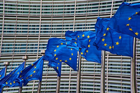 EU flags.jpeg