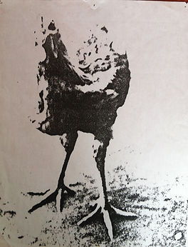 Chicken zerox copy.jpg