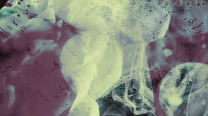 Lavalamp_Gif_01.gif