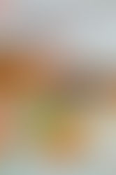 Nên Định Cư Mỹ Hay Canada? So Sánh Toàn Diện Năm 2026