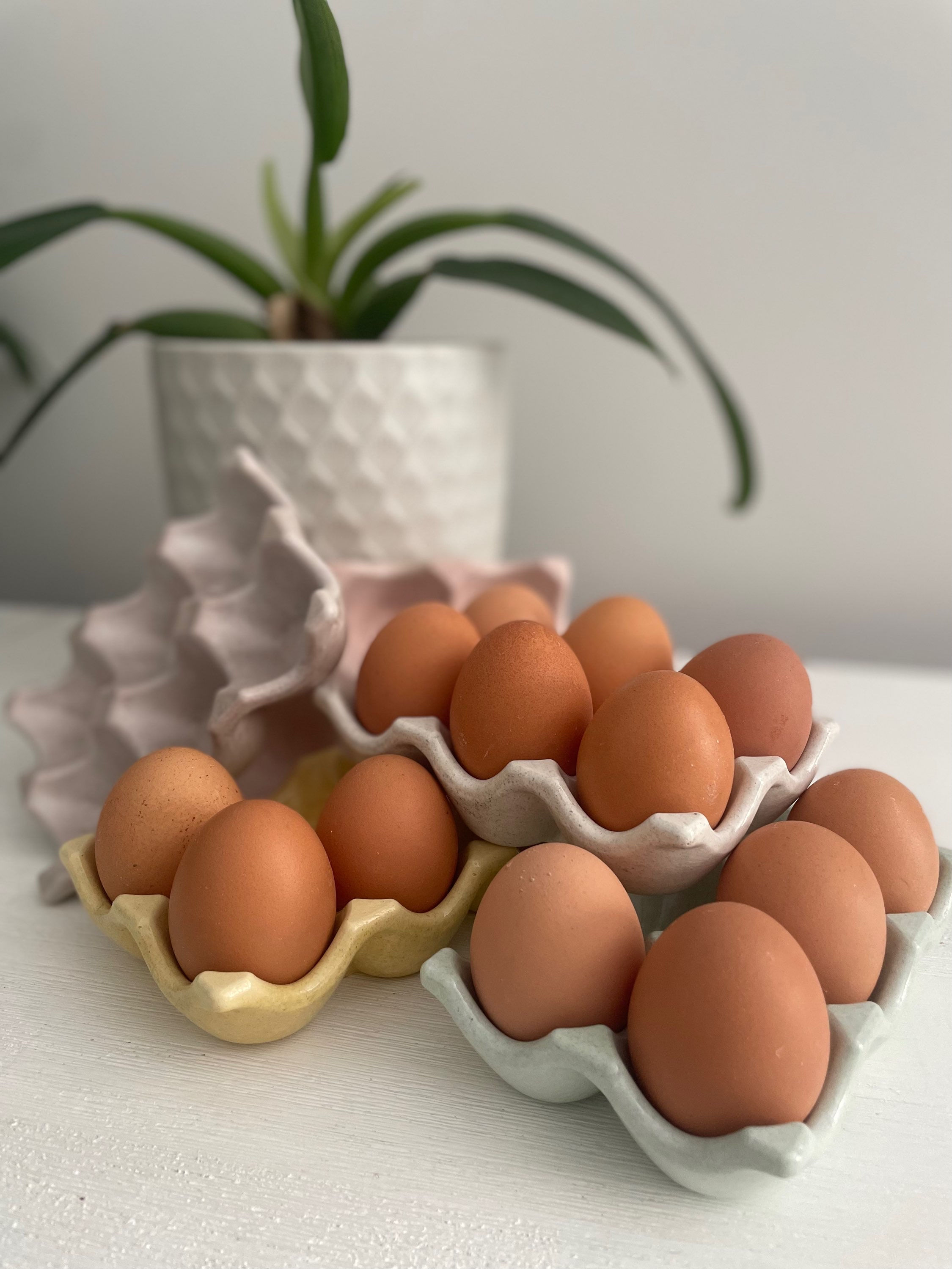 The Egg Tray (set of 2)