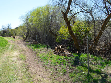 Black Horse Ranch Rolls Out of Bed