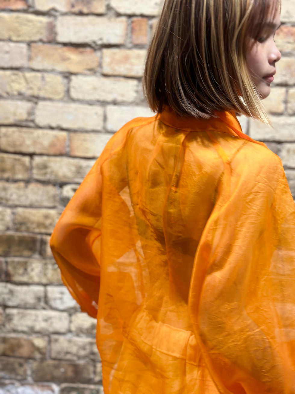 Back of Clementine Silk Top