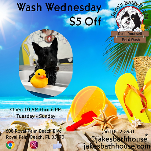 Grooming Flyer Money Off