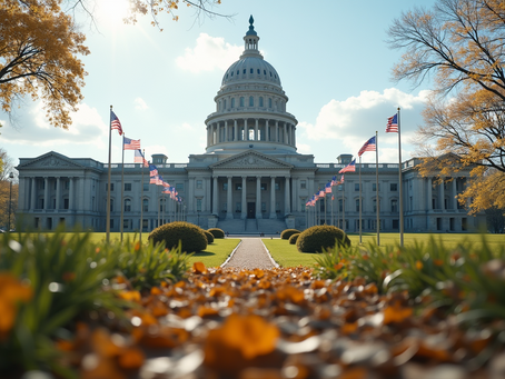 Mastering Government Contractor Job Applications