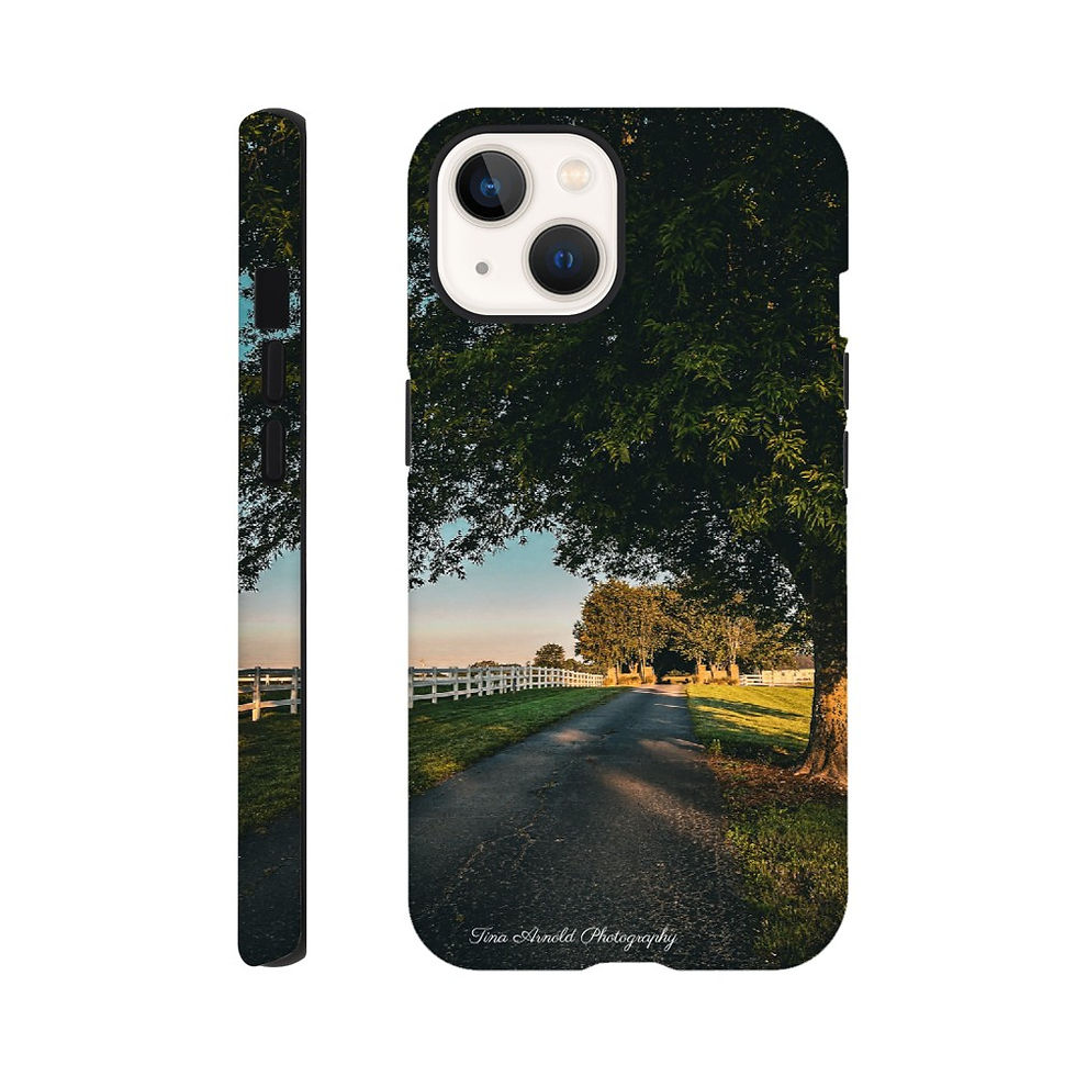 Thumbnail: Tina Arnold Autumn Day Tough iPhone Cases