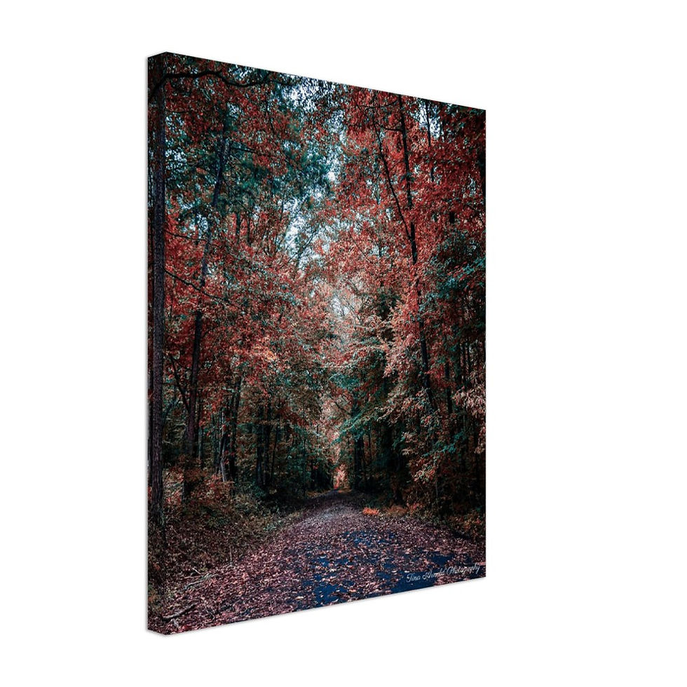 Thumbnail: Tina Arnold Photography Autumn Leaves Canvas, Various Sizes