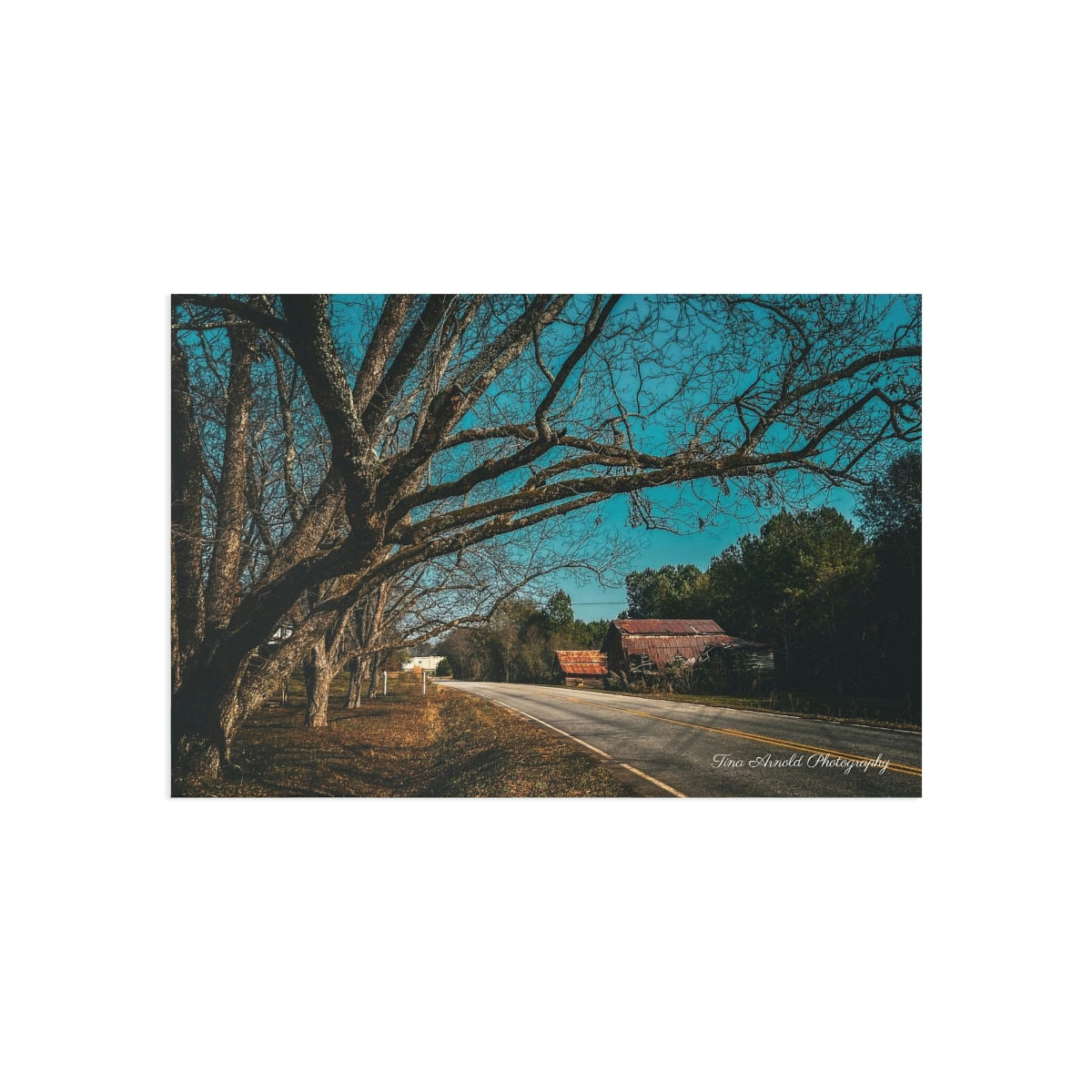 Tina Arnold Photography Fine Art Postcards