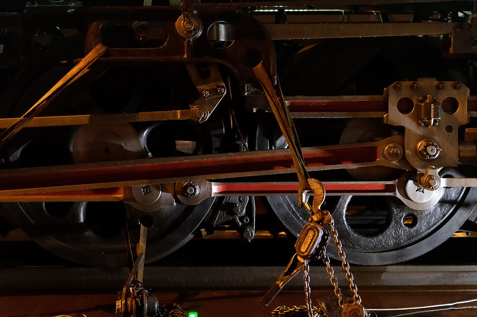 20190823_5928-1