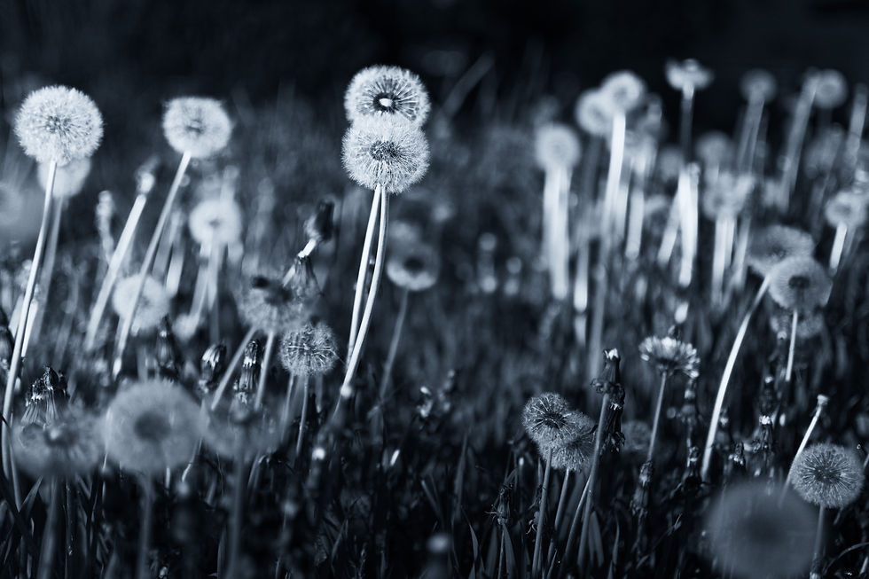20190523_0005