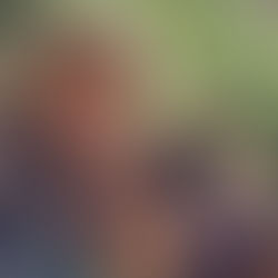 From the Mouth of Babes