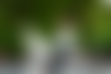 Stars of Summer International Competition and Festival.