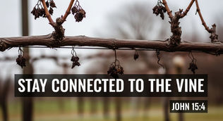 Stay Connected to the Vine. John 15:4