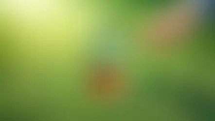 Ecoscape Lawn Health Check