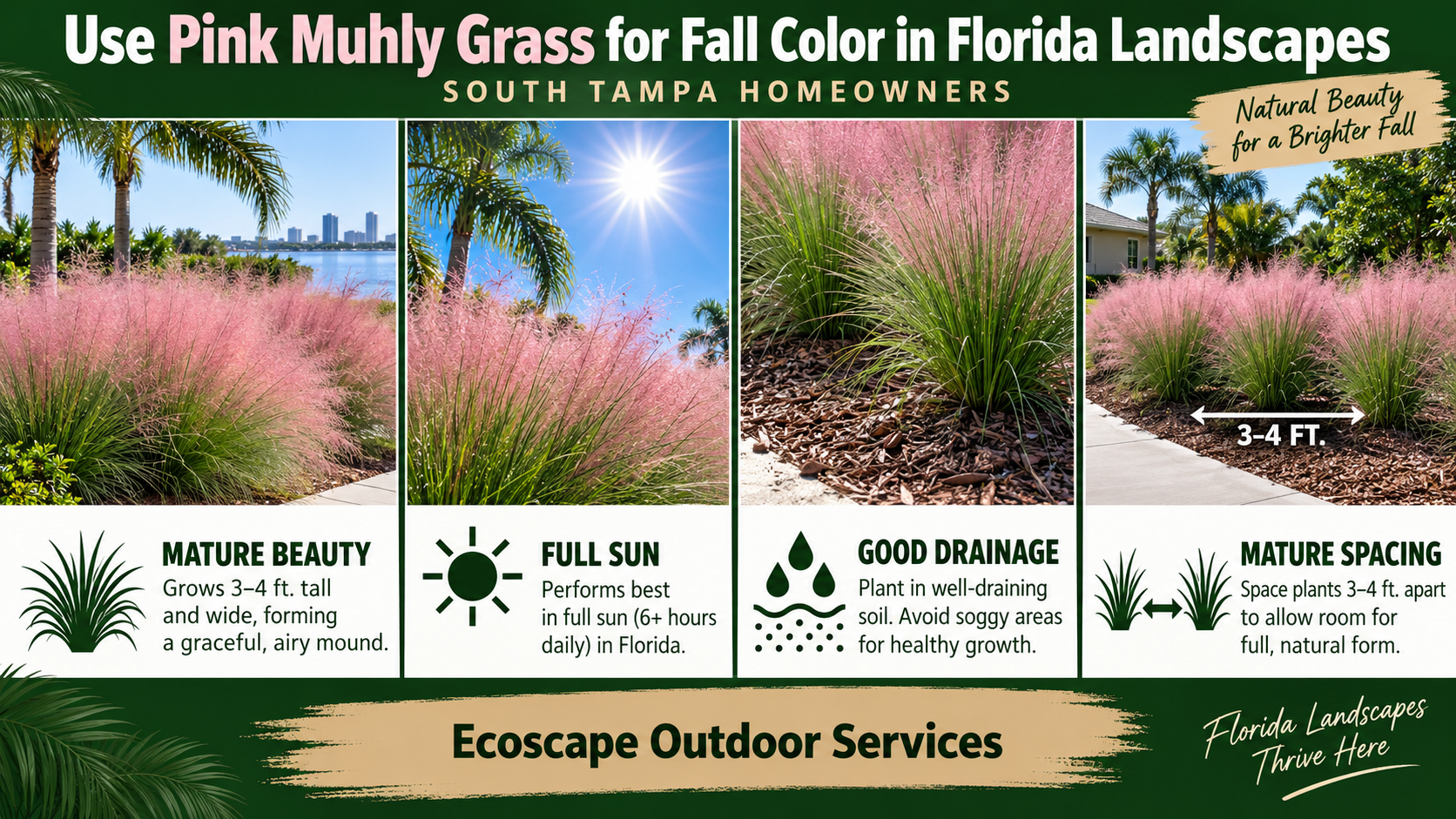 Lawn Care