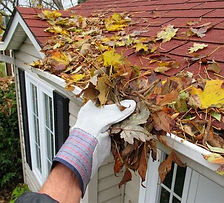 Gutter Cleaning