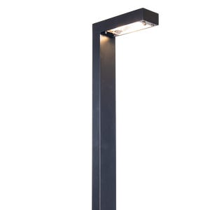 AMP® G3 Wide NovellePro Brass Black Path & Area Light (Lamp-Ready)