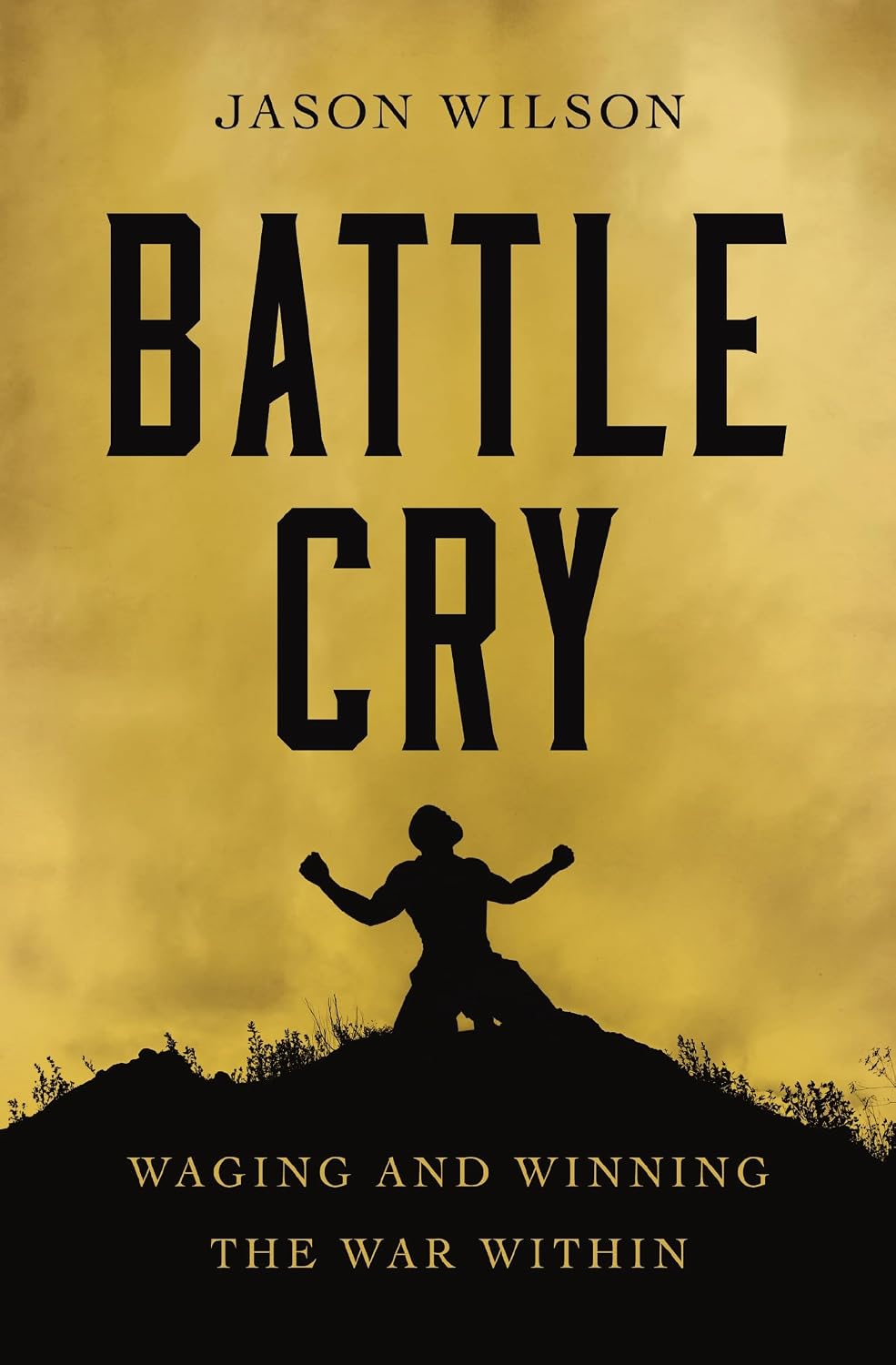 Battle Cry: Waging and Winning the War Within product image