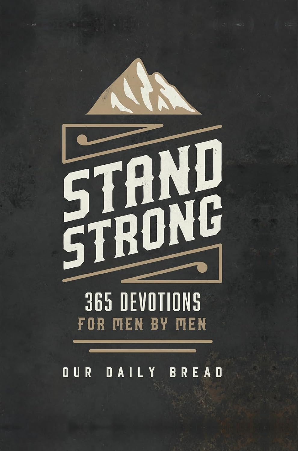 Stand Strong: 365 Devotions for Men by Men product image