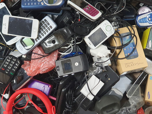 Über 150 kg Handys für Hummeln, Bienen und Co.