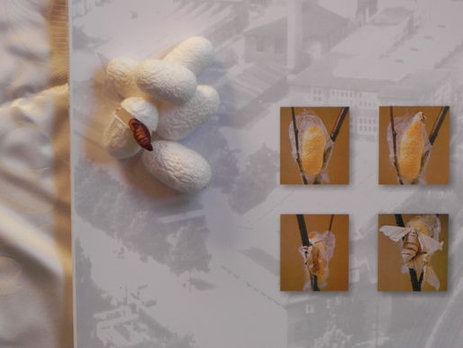 Führung: Geschichte der Seidenproduktion in Celle