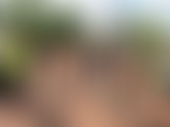 Große run up-Aktion bei Volkslauf und Sparkassenlauf in Bergen