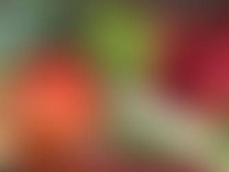 Frauen-Brunch: "Wir können Klima"