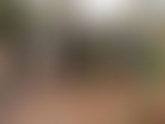 Jägerschaft bietet Führungen im Entenfang