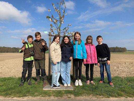 Friedensbotschaften aus Bergen