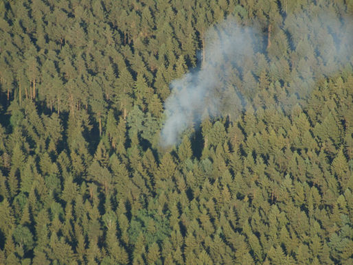 Hohe Waldbrandgefahr: Landkreis sperrt Grillplätze