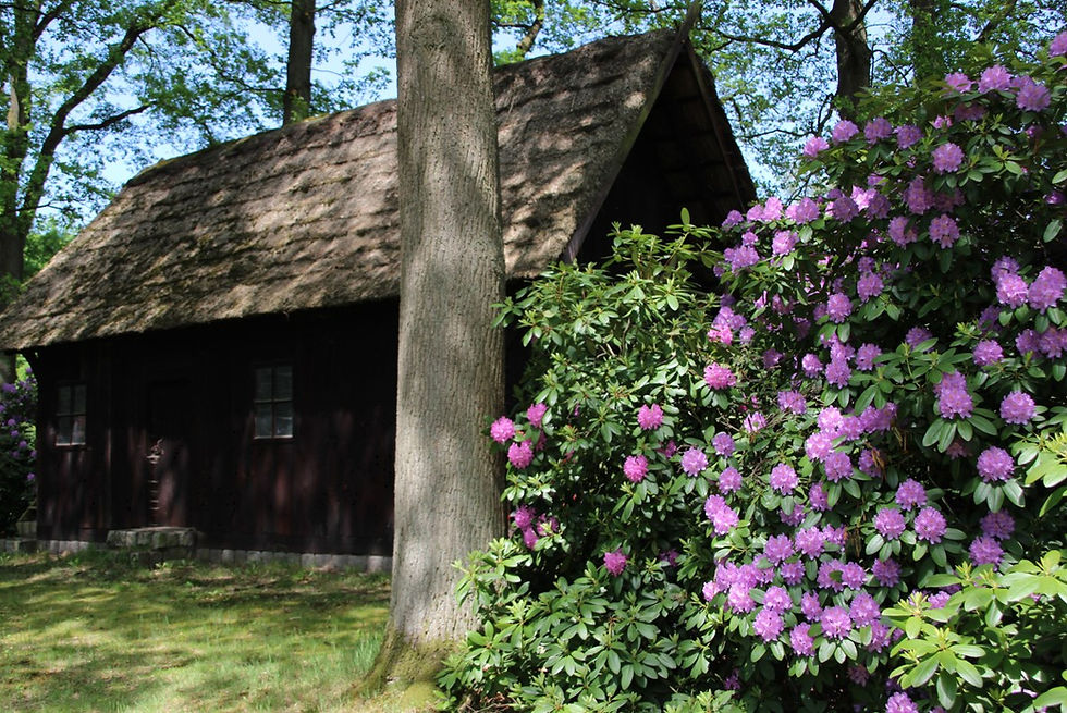 Treppenspeicher in Lutterloh. 
