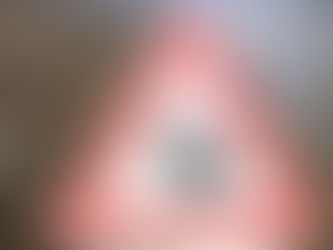 HelferInnen für Krötenwanderung gesucht