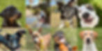 472202382_122130443066553219_4517050676551812989_n.jpg