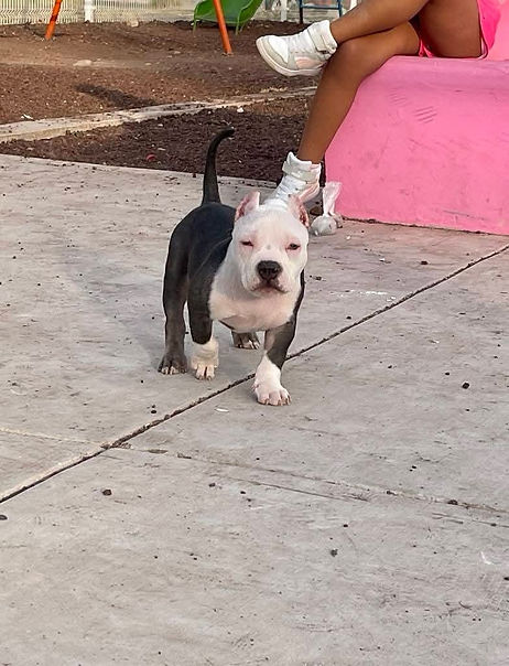 WhatsApp Image 2025-01-30 at 9.14.20 PM.jpeg