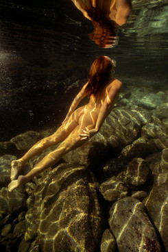en d'or-Kollman Katharine.jpg