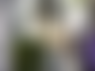 Fun Fact: The Skinny House