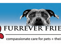 Long Beach Pet Owners Save This Info