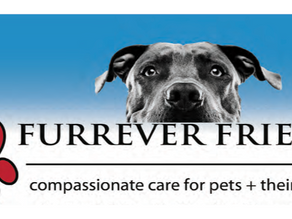 Long Beach Pet Owners Save This Info