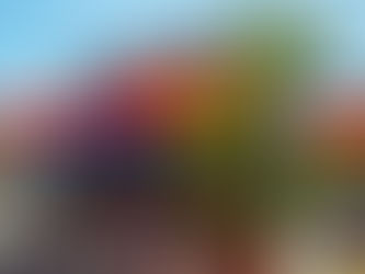 MOUTH WATERING SEAFOOD