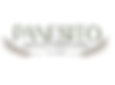 logo.png