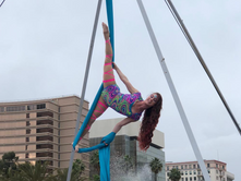 Learning to Fly- At Aerial Butterflies