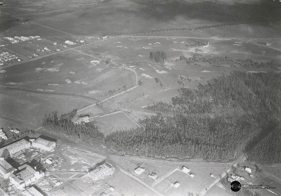 Aerial photo of Recreation Park and Wilson High School, 1926.