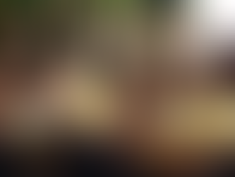 This Week's Family Fun Events