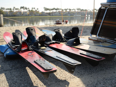 Marine Stadium Leeches...