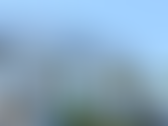 Fun Fact: Planet Ocean Mural