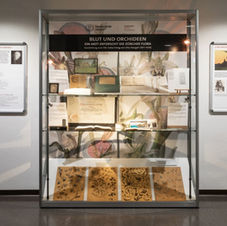 Library of science of plants