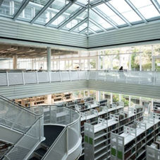 Library of the psychology faculty